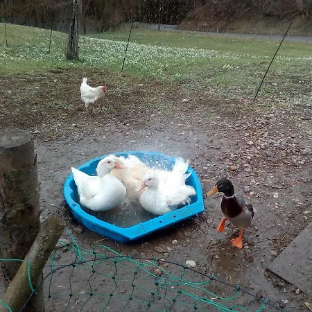 Auf Dem Lechsberg Fuchstal