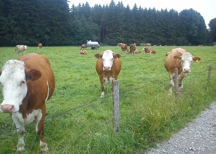 Διαμέρισμα Auf Dem Lechsberg Fuchstal