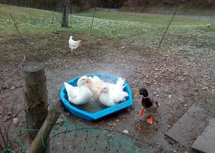 Auf Dem Lechsberg Fuchstal